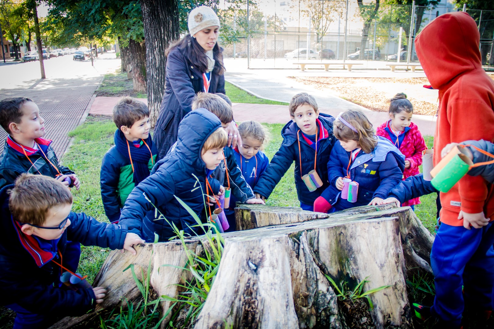 Ciencias sociales y ciencias naturales