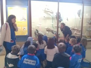 museo (2)