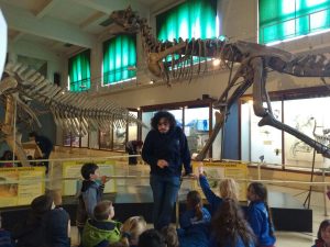 museo